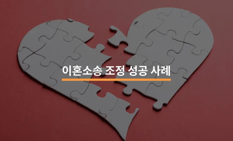 이혼소송 조정 성공 사례