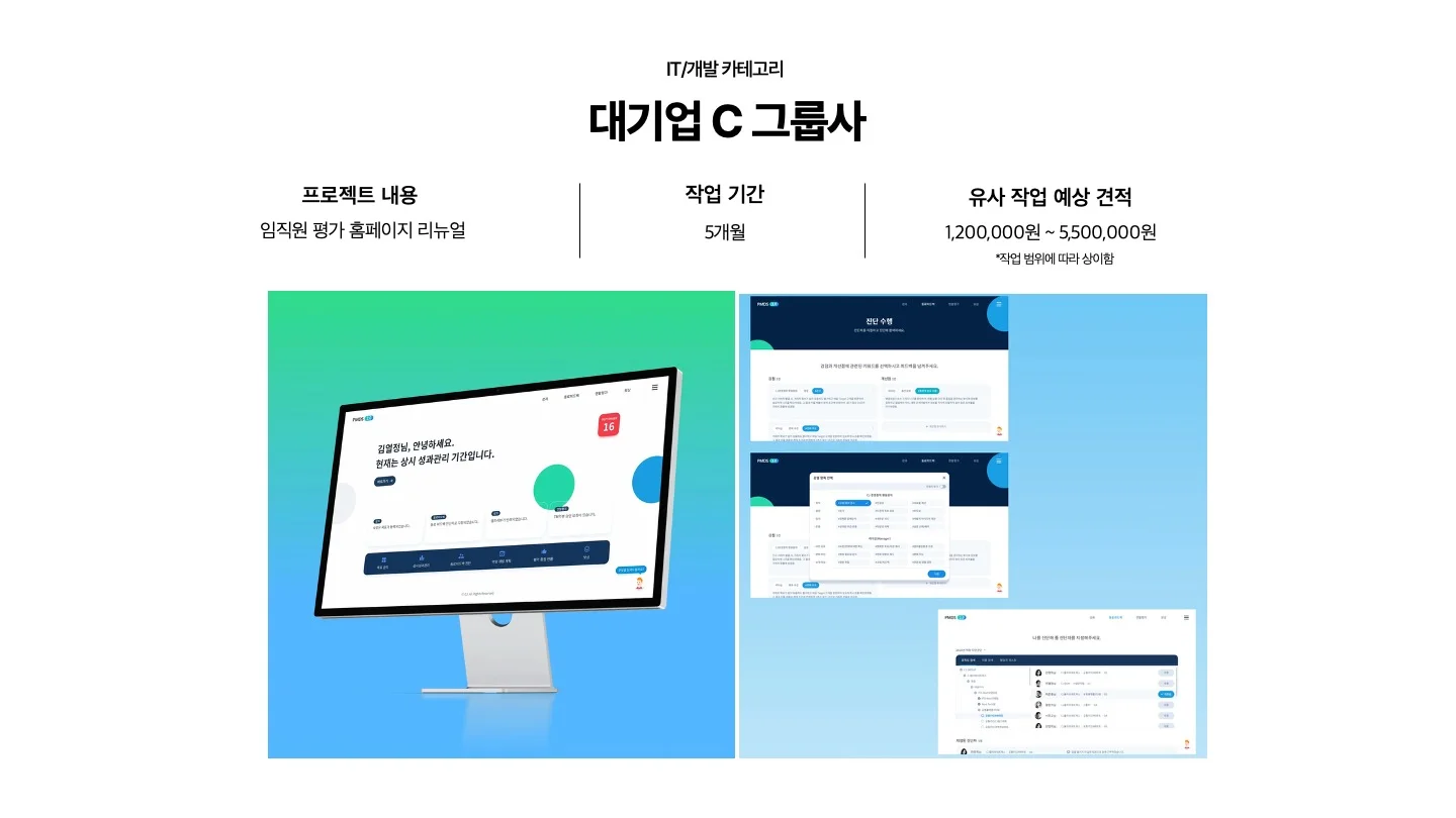 전문가 대표 포트폴리오 - IT/개발 카테고리 - 대기업 c 그룹사