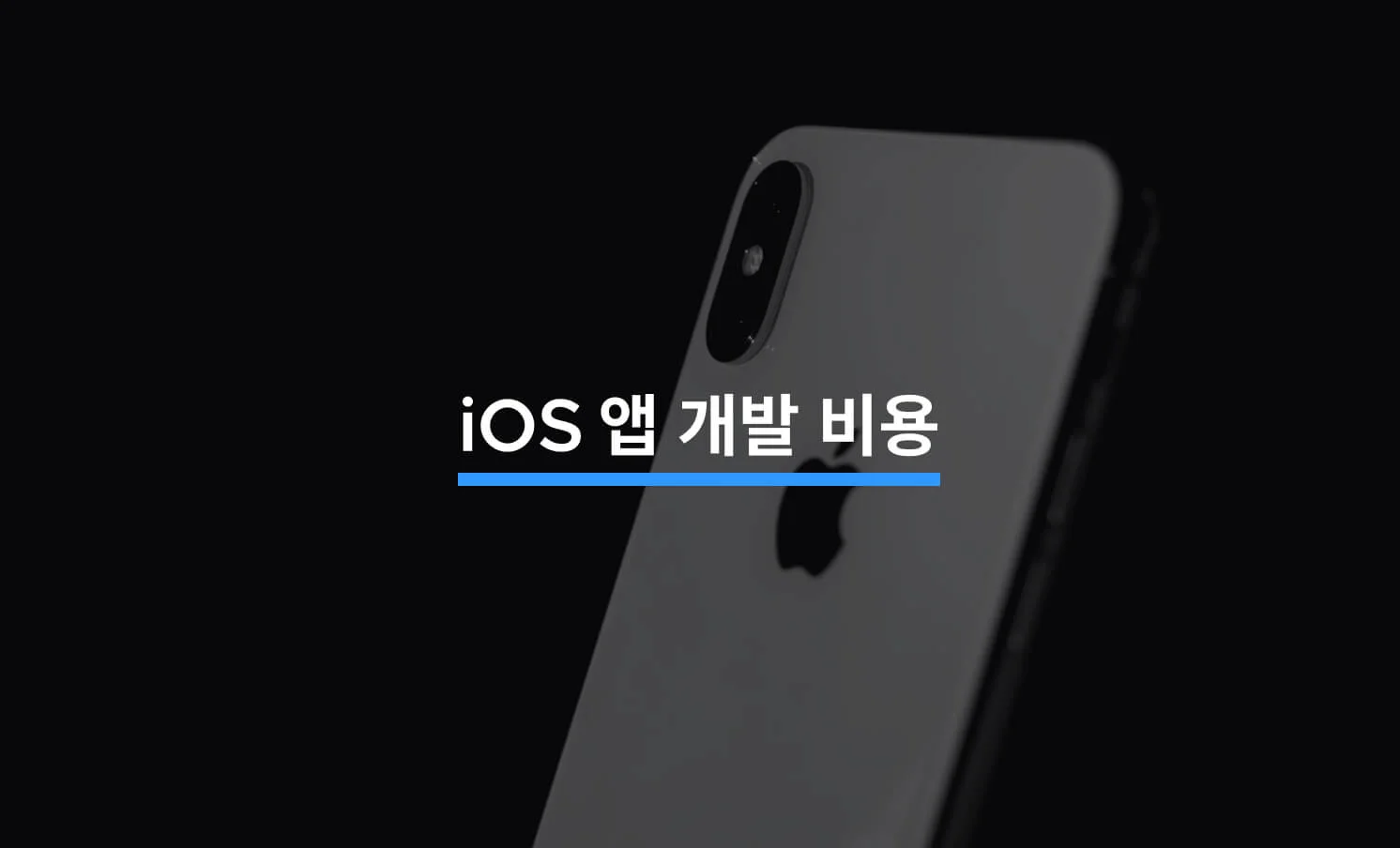 iOS 앱 개발 비용, 얼마가 적당할까?에 대한 썸네일