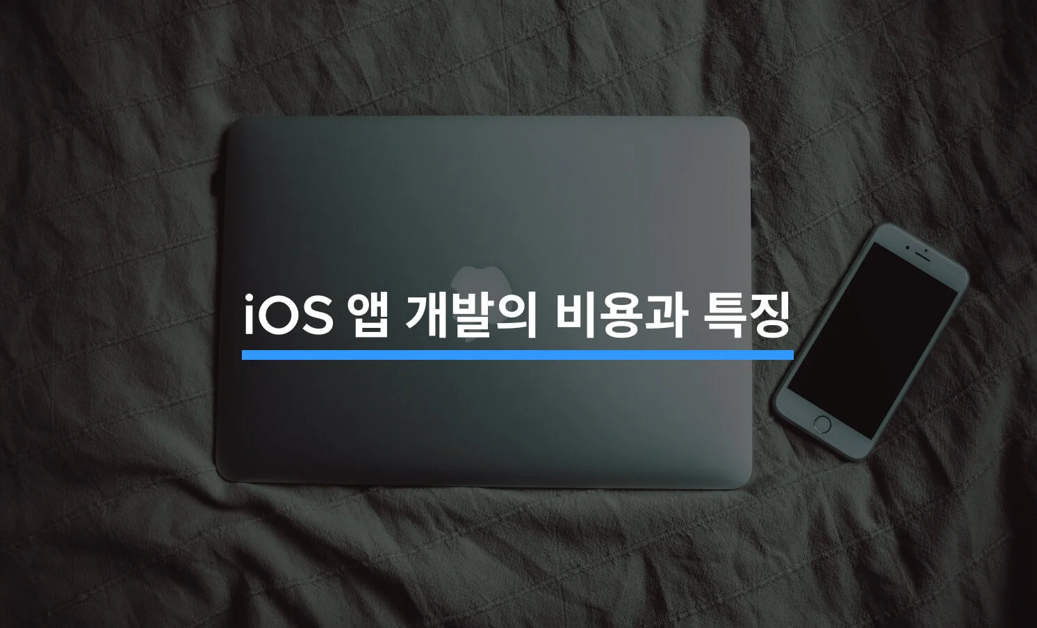 iOS 앱 개발, 비용부터 특징까지에 대한 썸네일