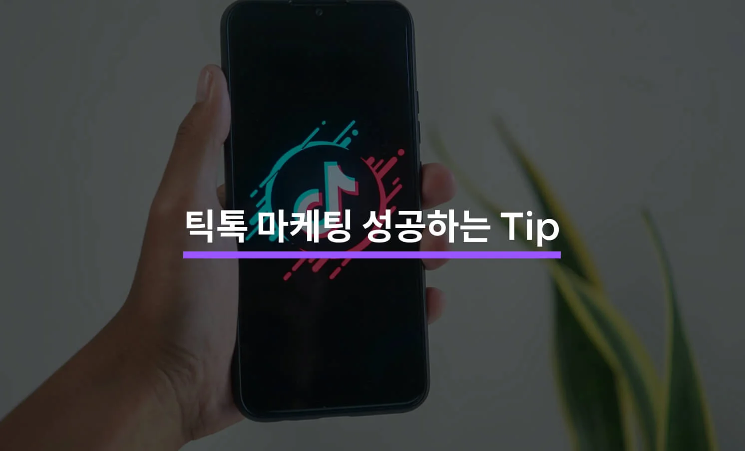 틱톡 마케팅 성공적으로 하는 방법에 대한 썸네일