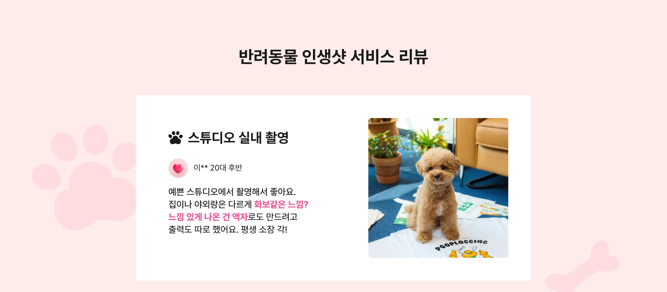 반려동물 인생샷 서비스 리뷰