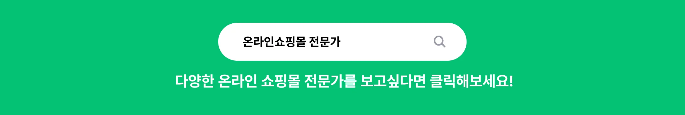 더 많은 온라인 쇼핑몰 전문가