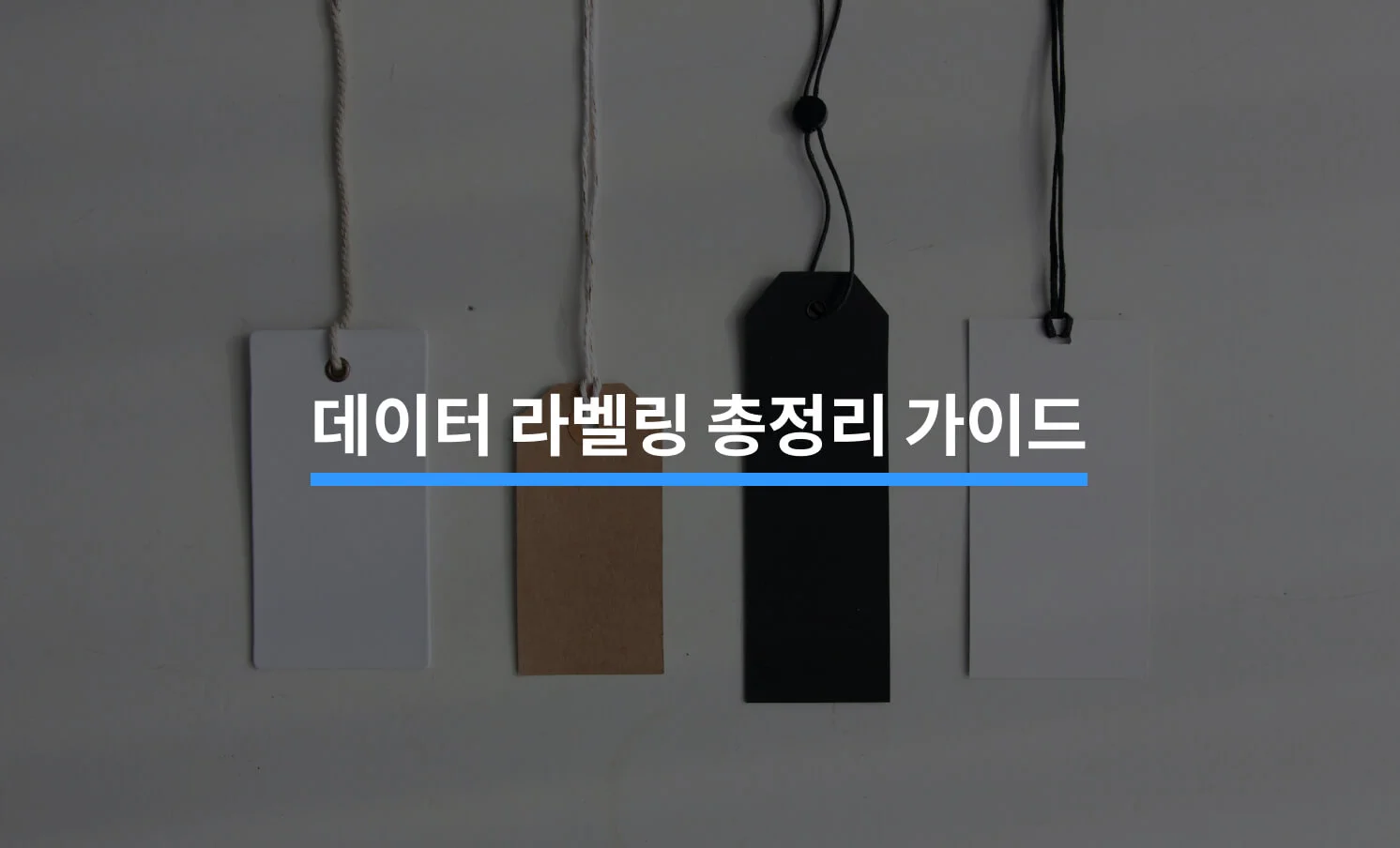 데이터 라벨링 가이드와 관련된 썸네일