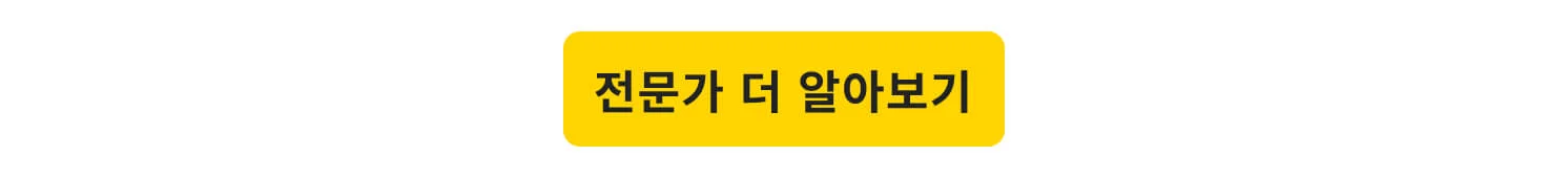 필진 소개