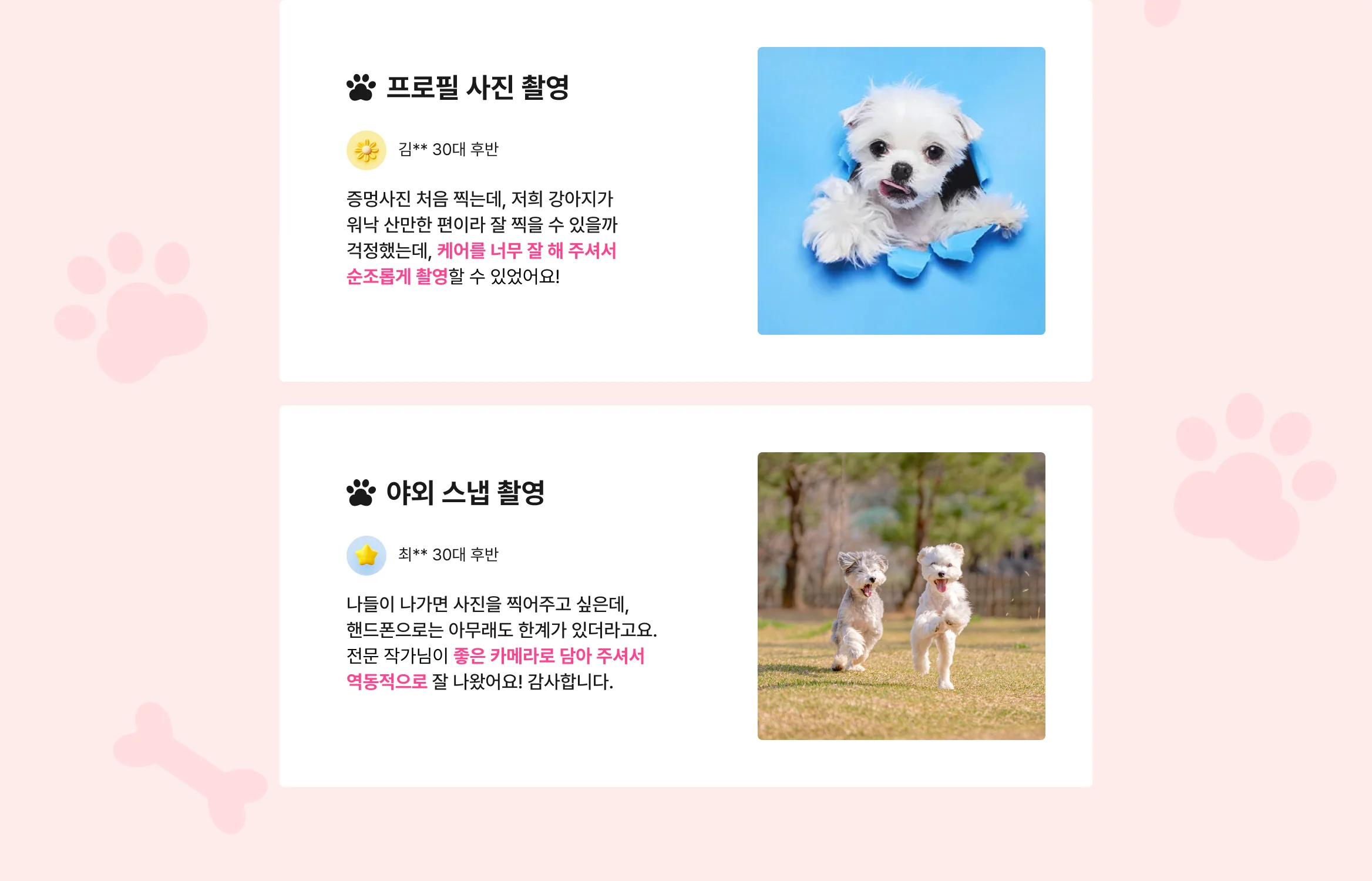 반려동물 인생샷 서비스 고객 리뷰