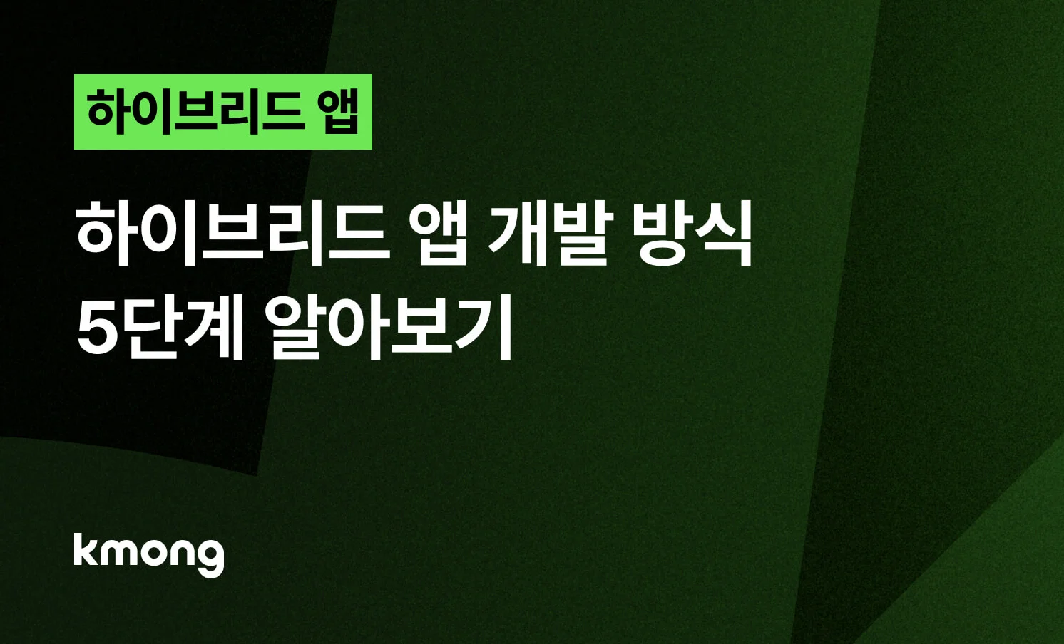 <하이브리드 앱 개발 방식의 이해와 성공적인 외주 전략> 콘텐츠 썸네일
