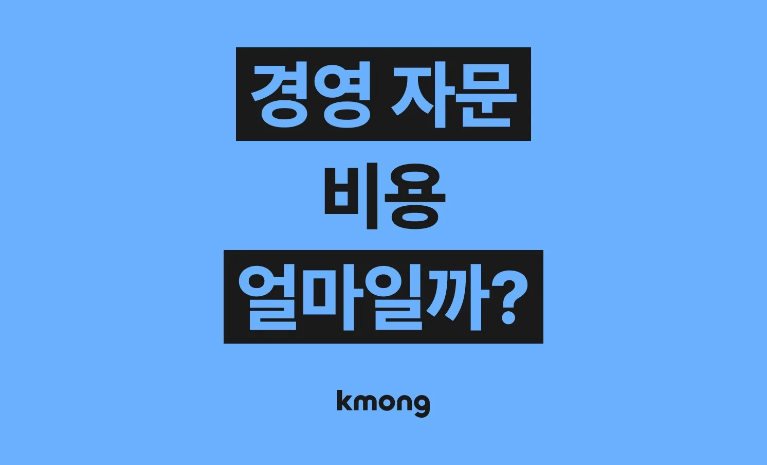 일반 경영 자문(사업 계획⋅사업 방향⋅IR 컨설팅) 비용은 얼마일까?