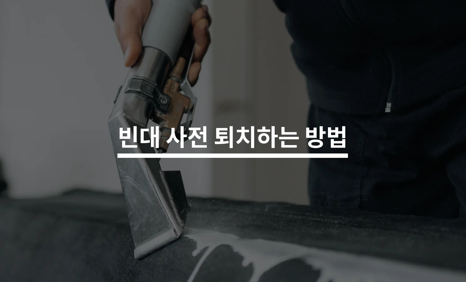 호텔, 가정집, 기숙사 빈대 예방하는 방법