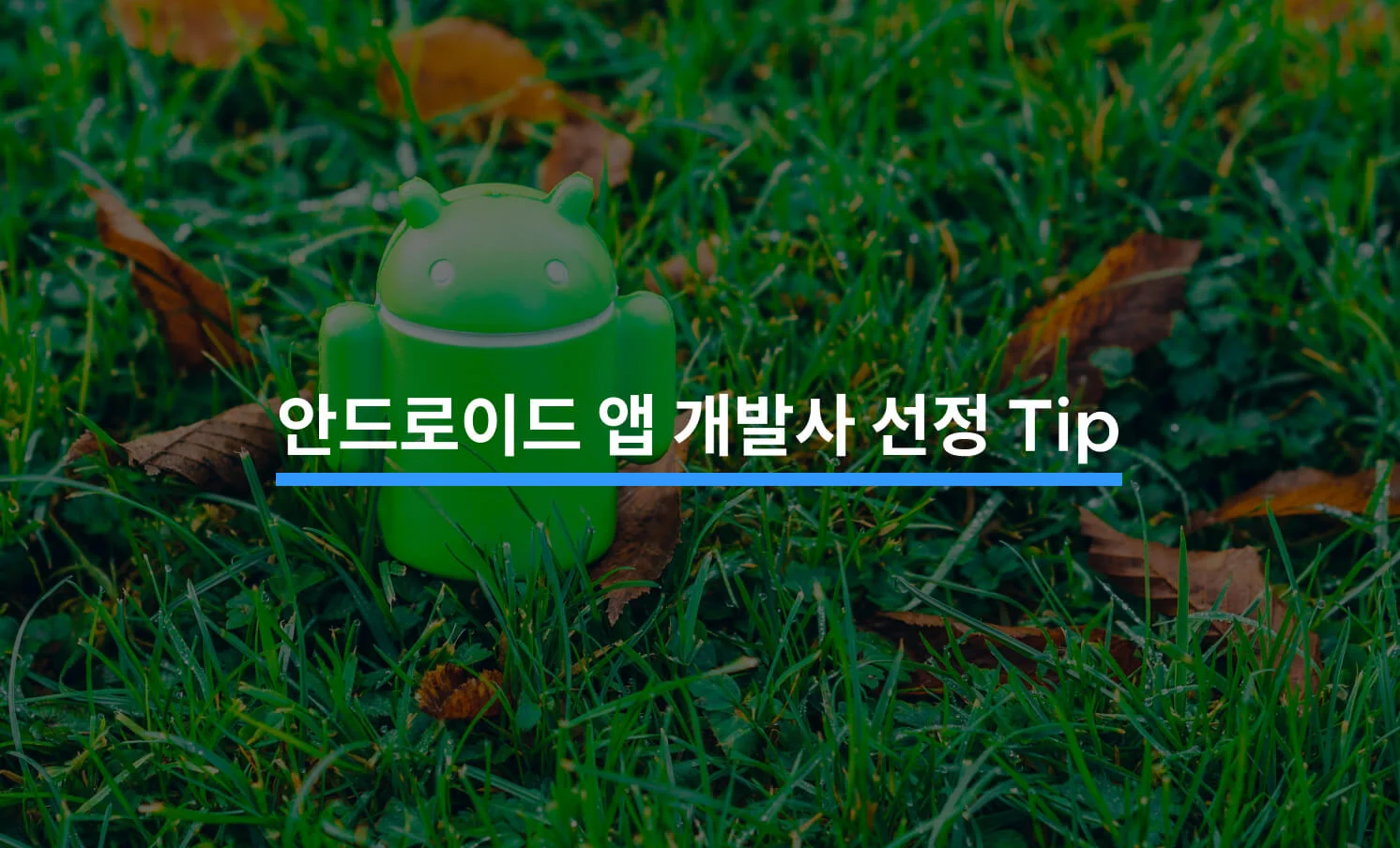 안드로이드 앱 외주 개발사 선정 Tip에 대한 썸네일