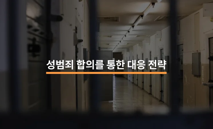 성범죄 합의를 통한 대응 전략