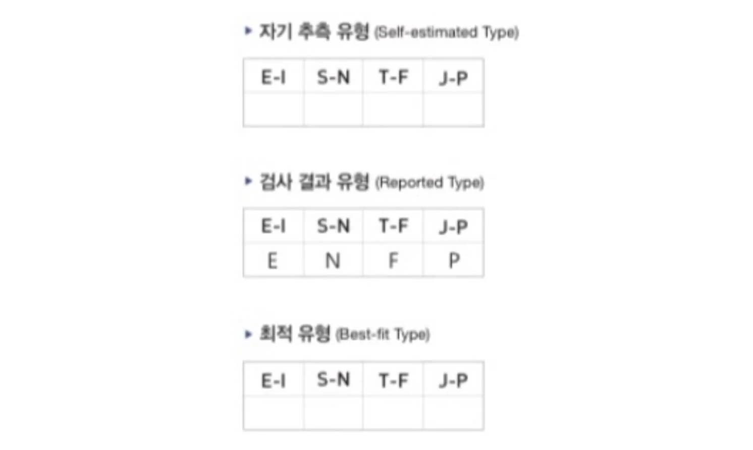 자기 추측 유형