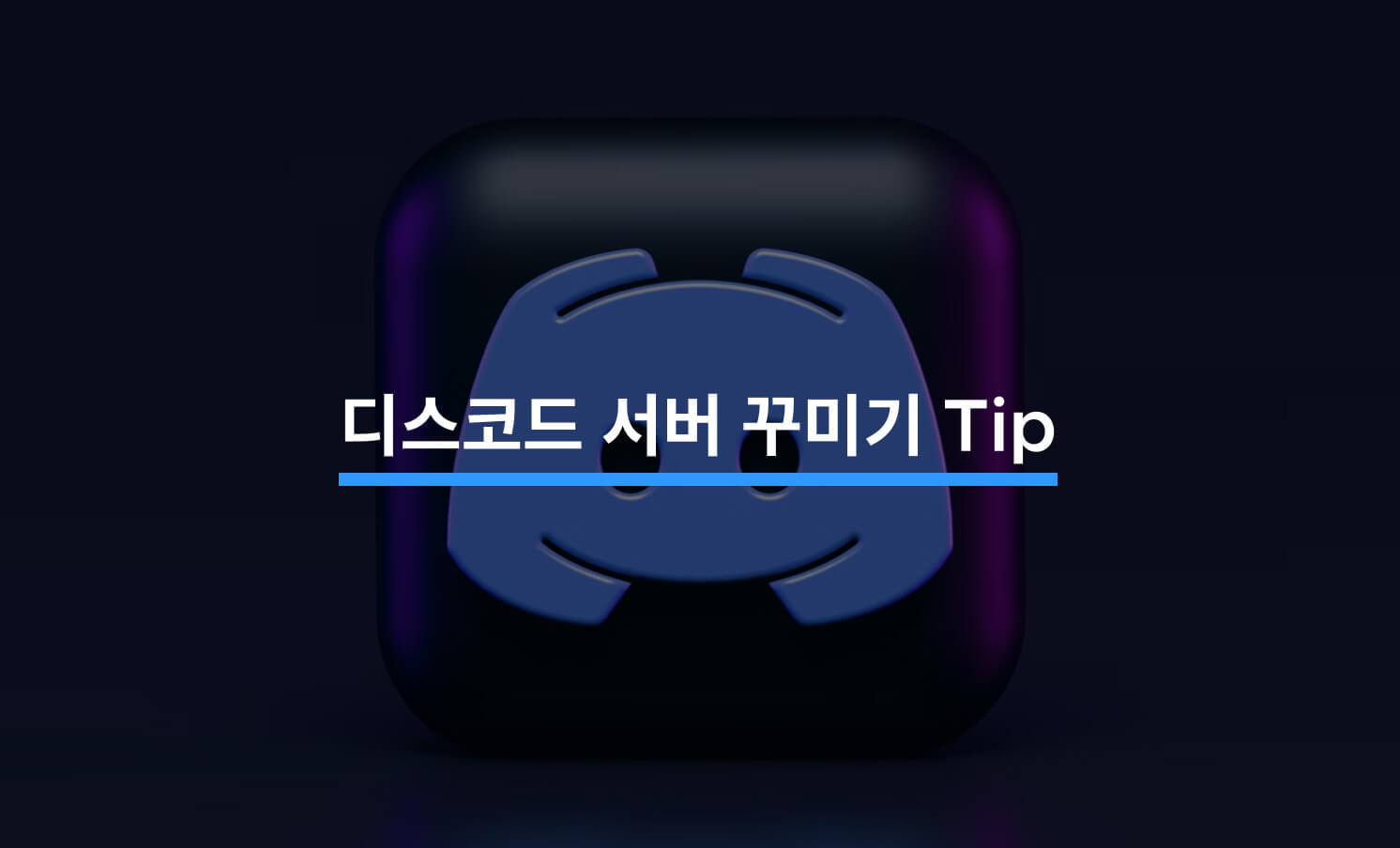 디스코드 서버 꾸미기 Tip