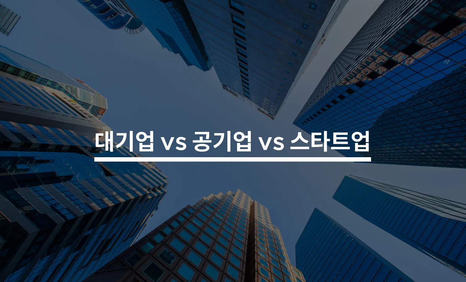 대기업 취직 vs 공기업 취직 vs 스타트업 취직에 대한 썸네일 이미지