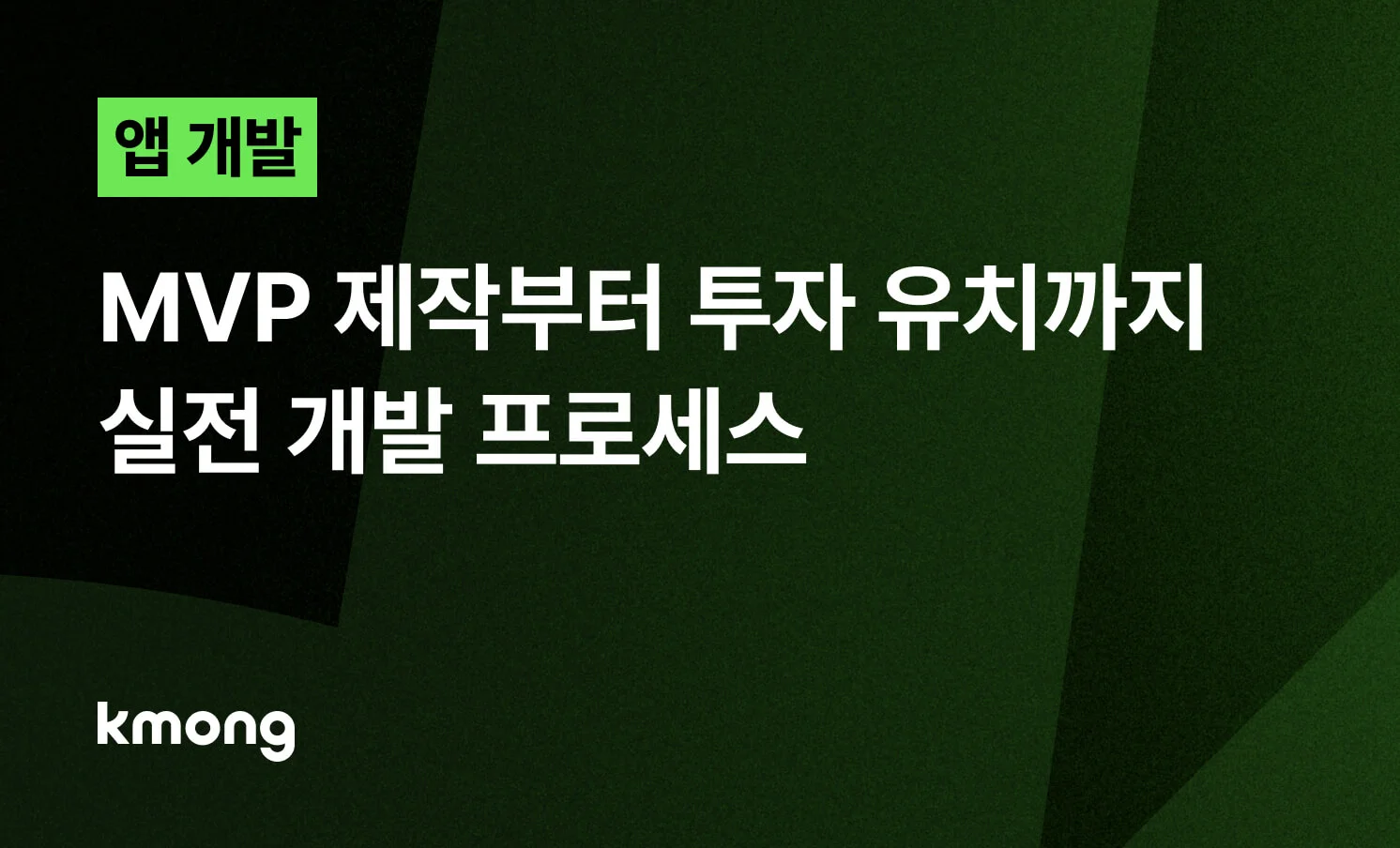 <앱, MVP 제작부터 투자 유치까지 실전 개발 프로세스> 콘텐츠 썸네일