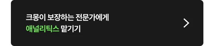 애널리틱스 외주 비용