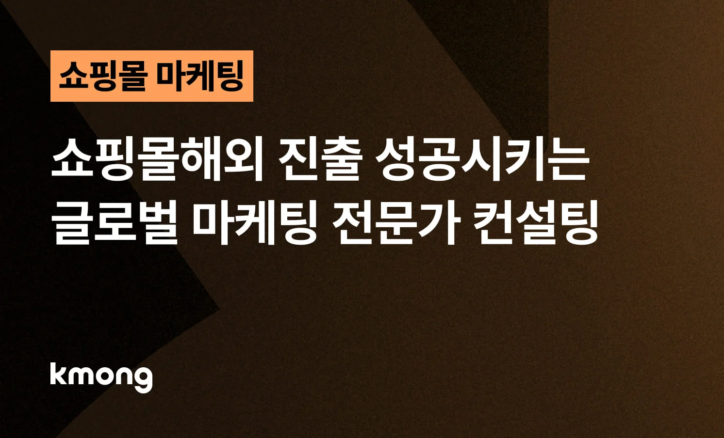 쇼핑몰 해외 진출 성공을 위한 글로벌 마케팅 전략과 역직구 물류 시스템 구축 전문가 컨설팅 가이드 썸네일