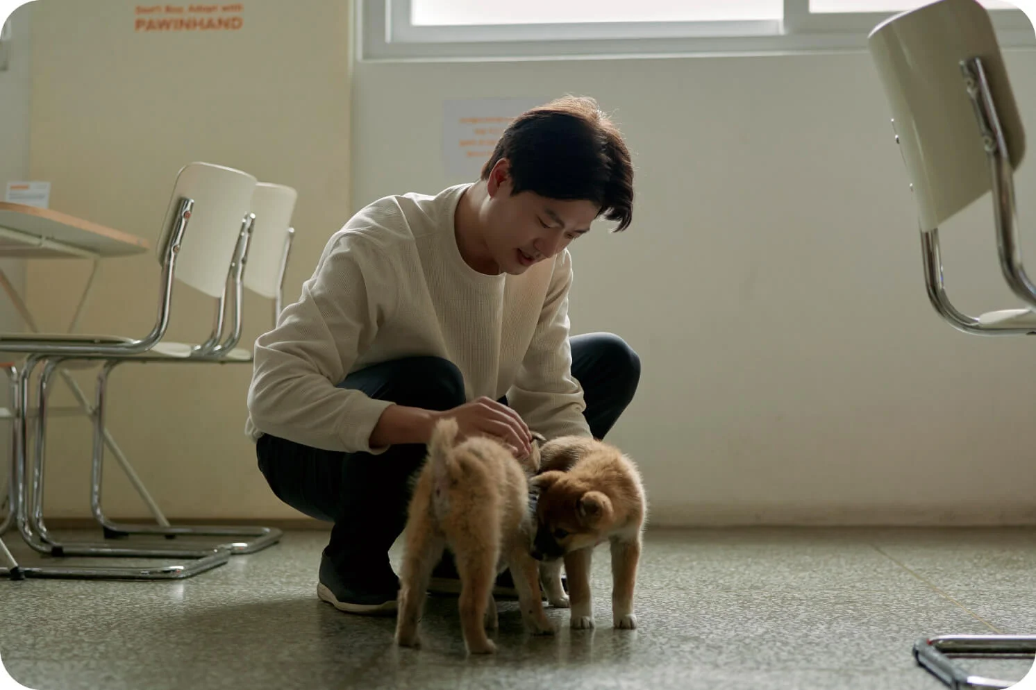포인핸드 대표 이환희가 포인핸드 경의선숲길 카페에서 강아지와 함께 있는 모습