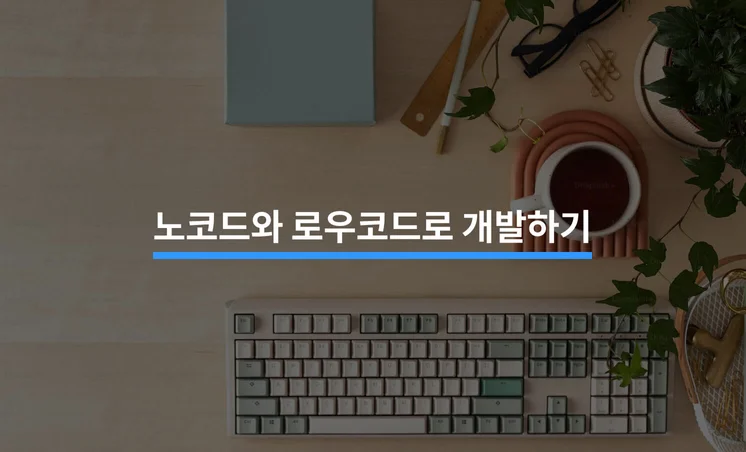 저렴한 비용으로 빠른 개발을 원한다면, 노코드/로우코드