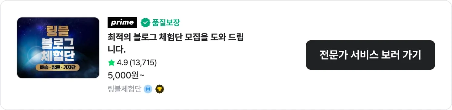 쇼핑몰 매출 상승을 위한 인플루언서 블로그 체험단 모집 링블체험단 크몽 서비스