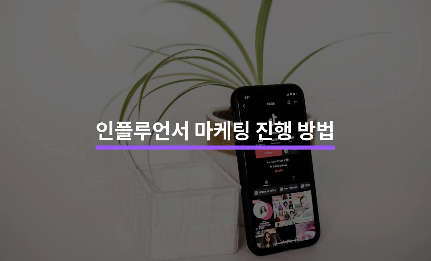 인플루언서 마케팅 효과적으로 진행하는 방법에 대한 썸네일