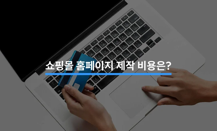 쇼핑몰 홈페이지 제작 비용과 사례