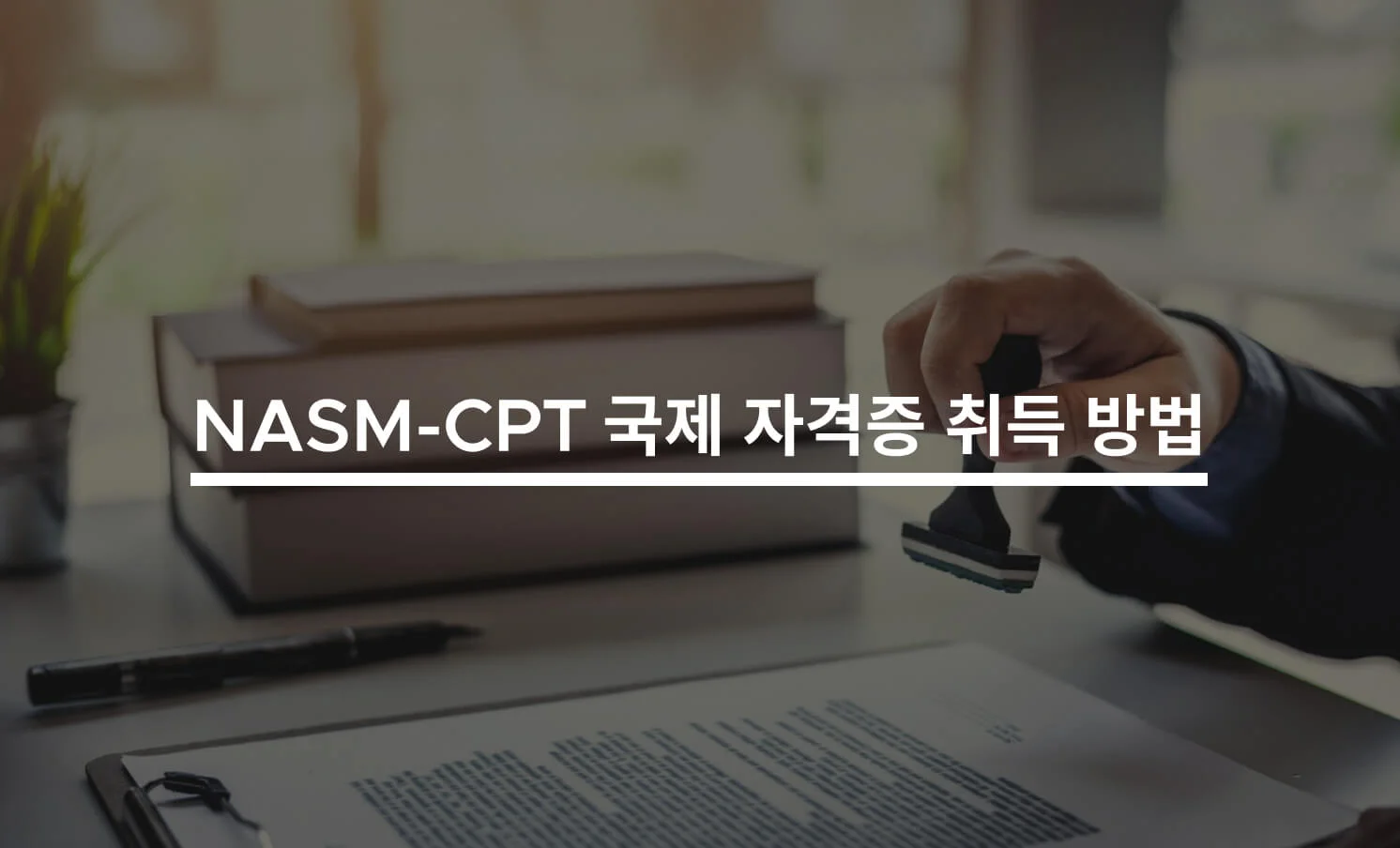 NASM-CPT 국제 자격증 취득 방법과 관련된 썸네일