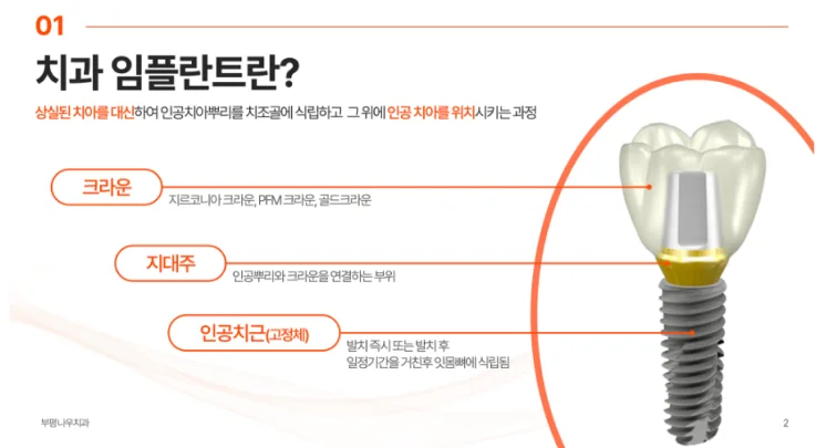 일러스트, 사진 자료가 활용된 예시
