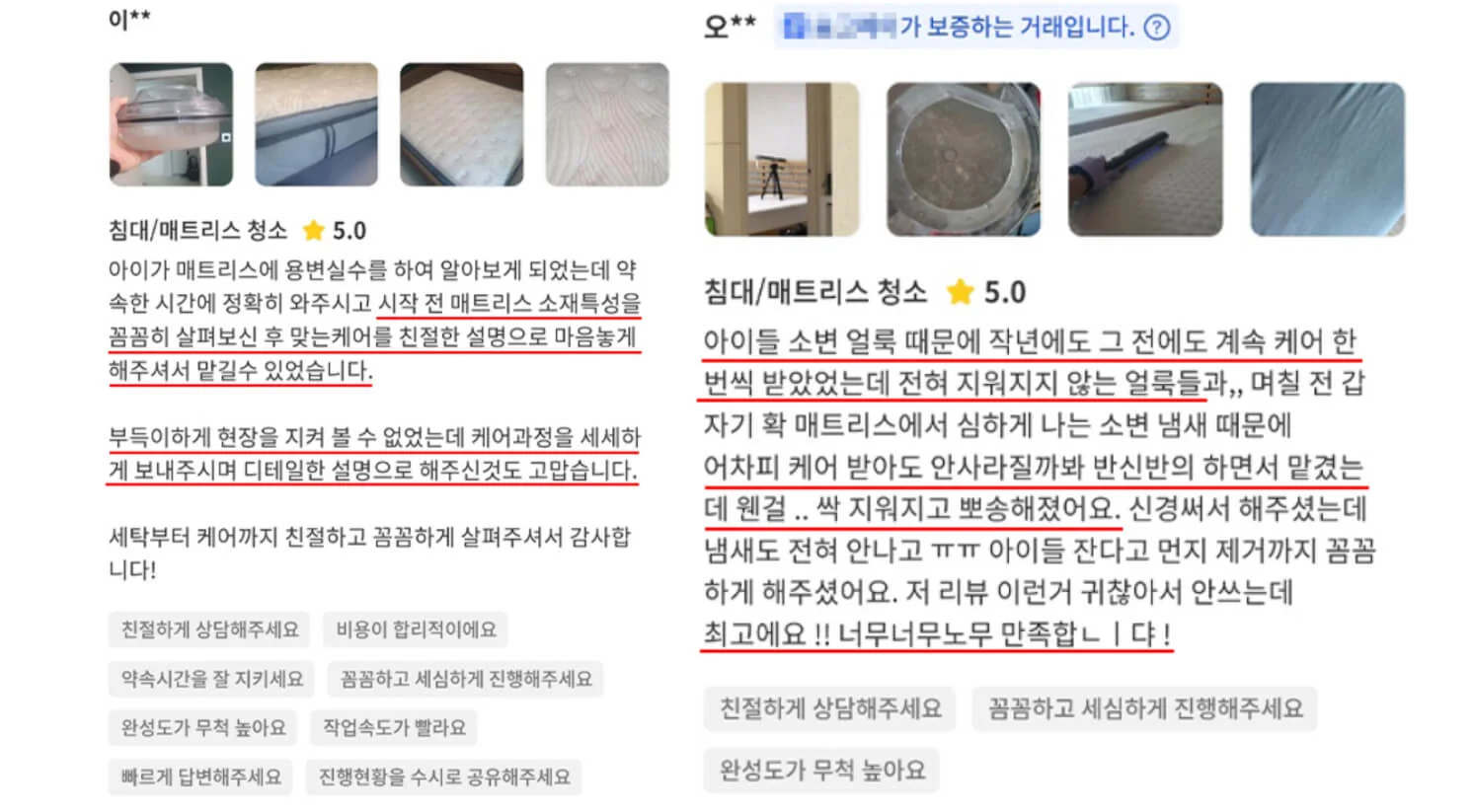 빈대 매트리스 청소