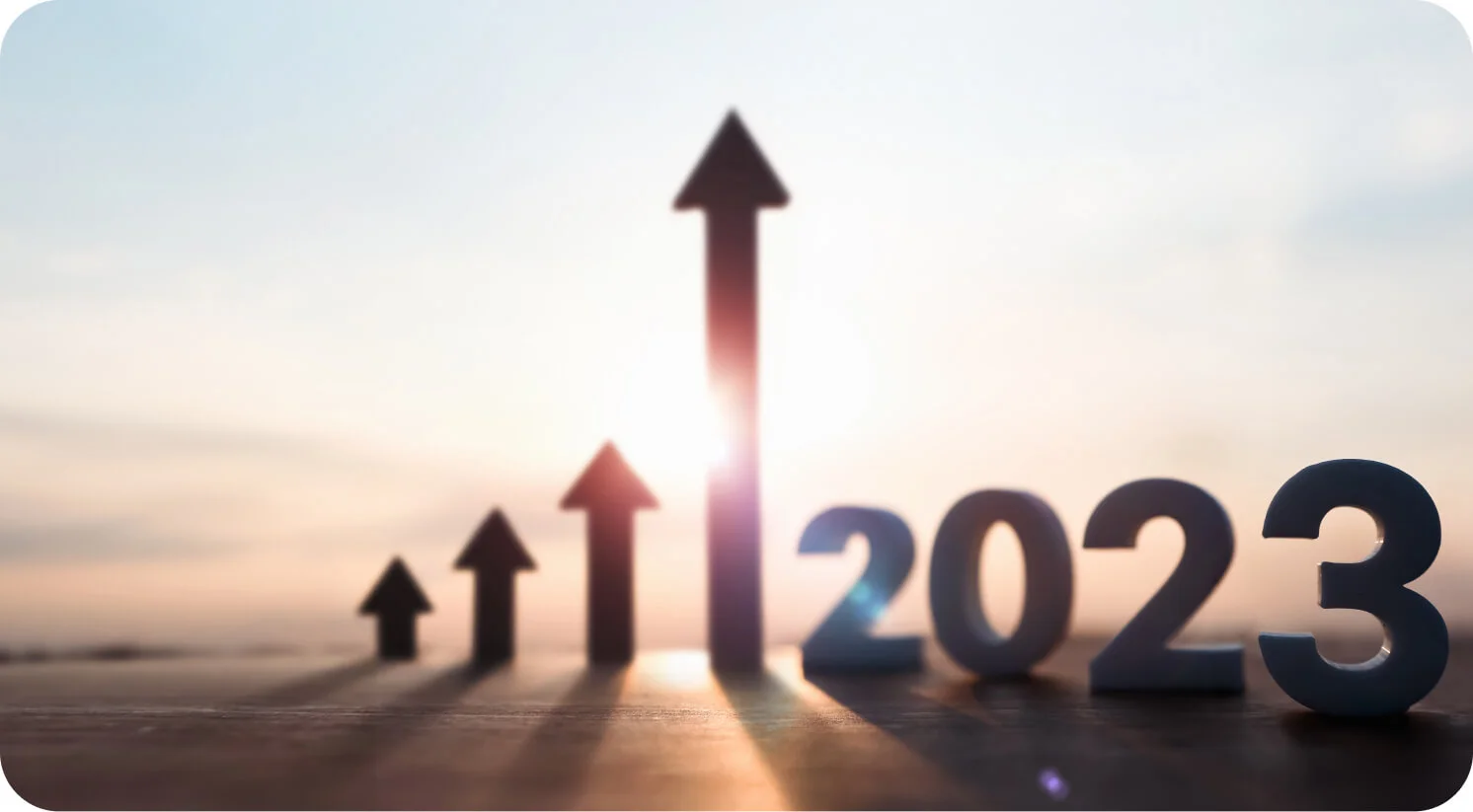 2023년 블랙프라이데이