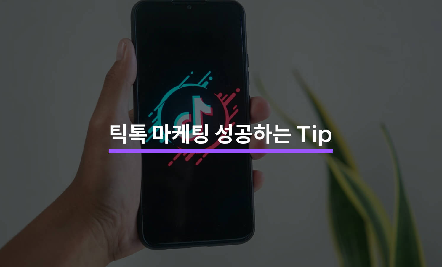 틱톡 마케팅 성공적으로 하는 방법