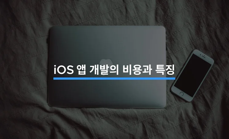 iOS 앱 개발, 비용부터 특징까지