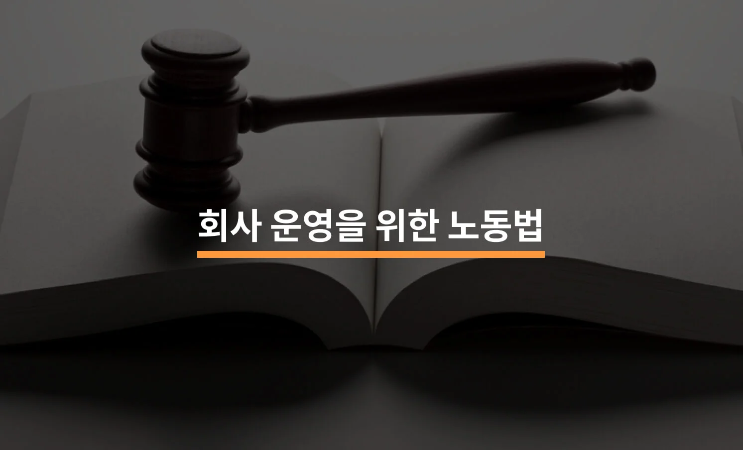 회사 경영을 위한 노동법에 대한 썸네일