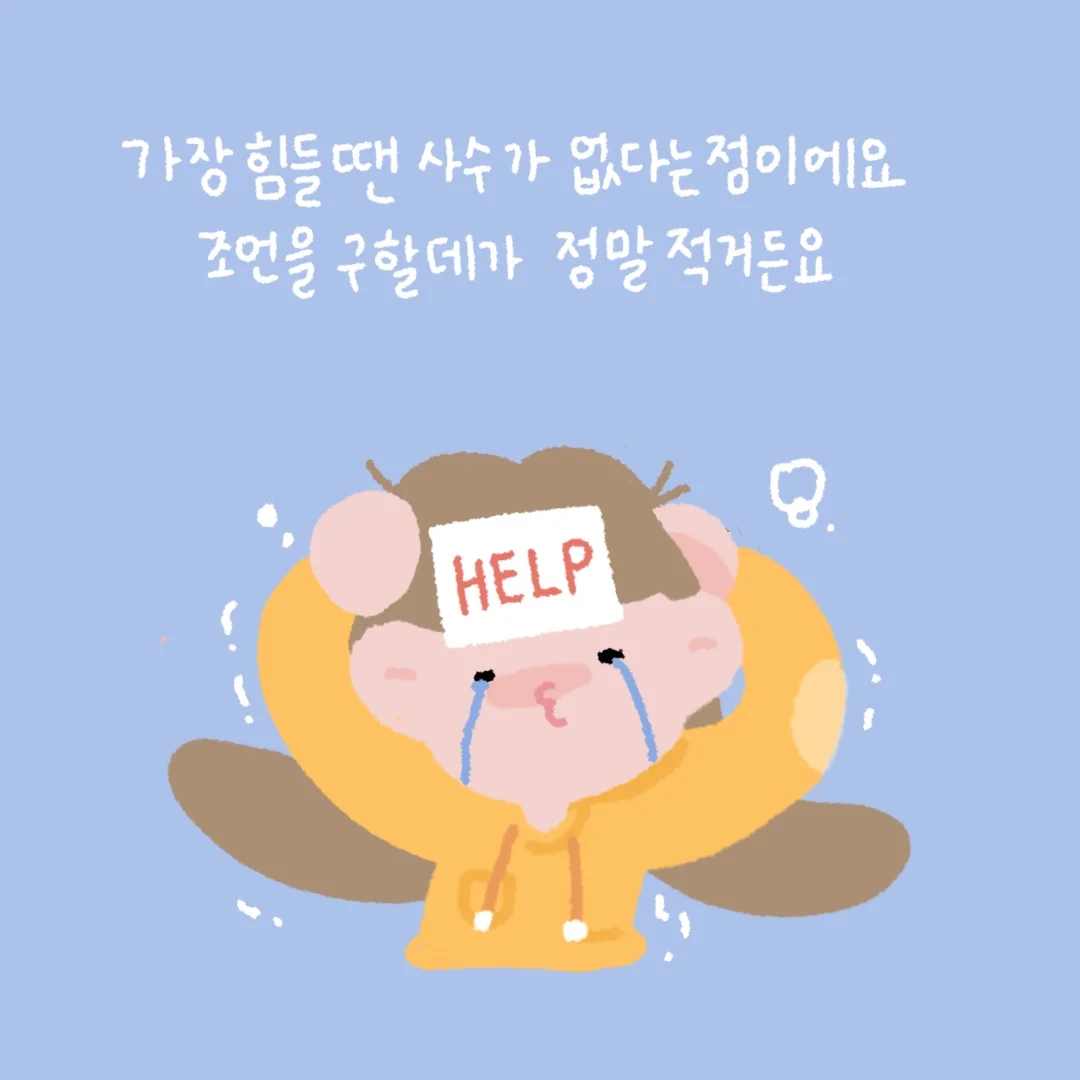 이미지6