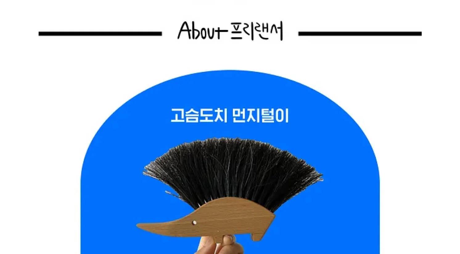 고슴도치 먼지털이 