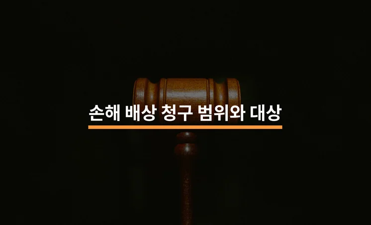 손해 배상 청구 범위와 청구 대상