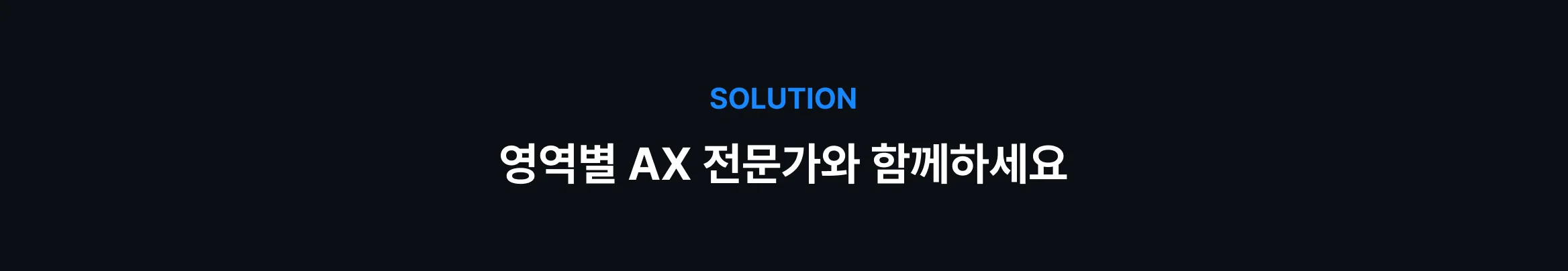비즈니스 맞춤 AX 전문가
