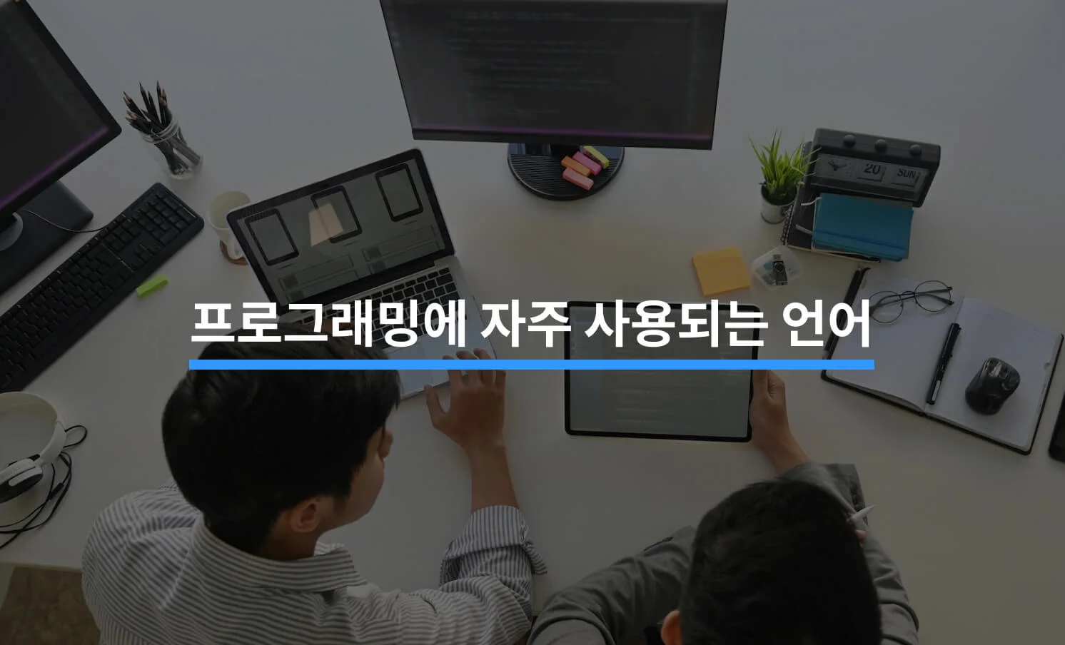 프로그래밍에 자주 사용되는 언어와 특징에 대한 썸네일