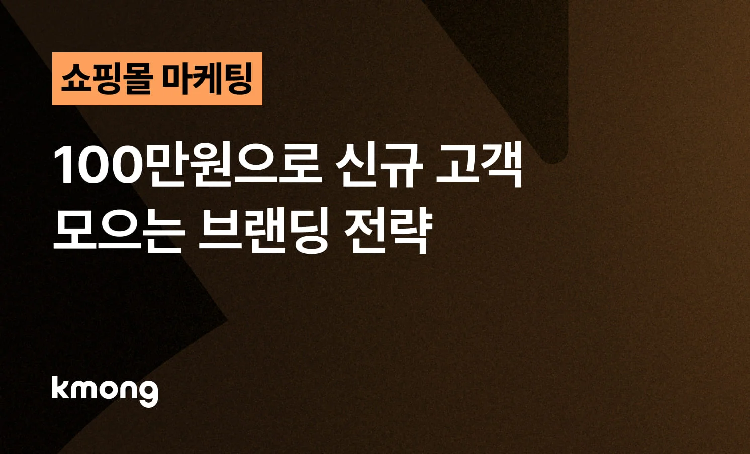 <쇼핑몰, 100만원으로 신규 고객 모으는 브랜딩 전략> 콘텐츠 썸네일 이미지