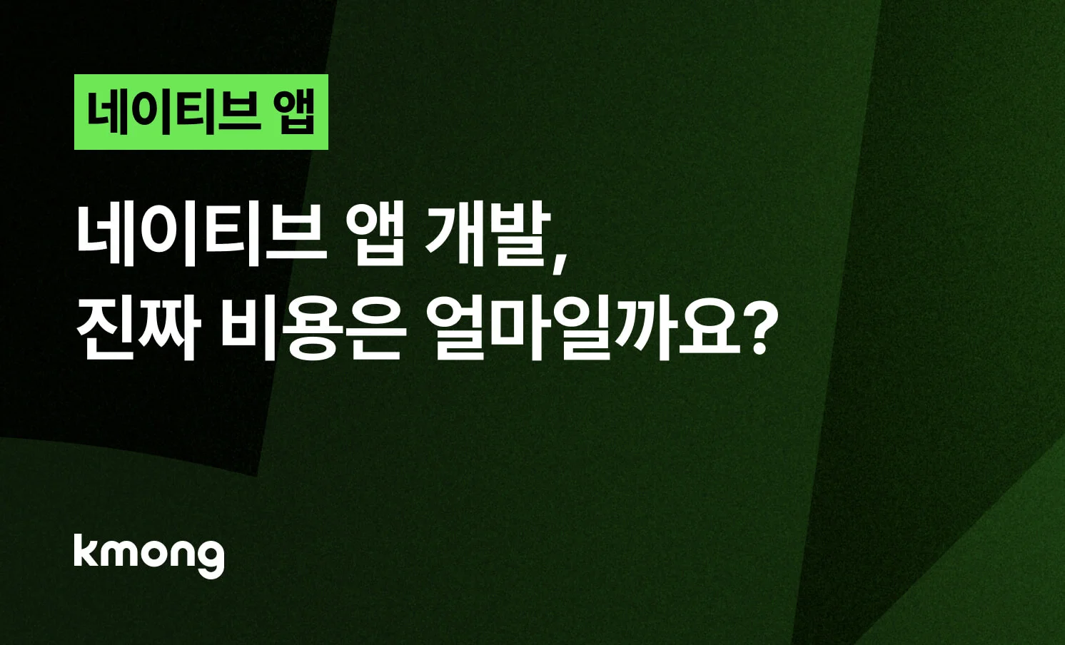 <네이티브 앱 개발, 진짜 비용은 얼마일까요?> 콘텐츠 썸네일