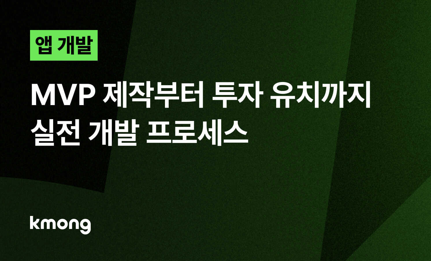 앱, MVP 제작부터 투자 유치까지 실전 개발 프로세스