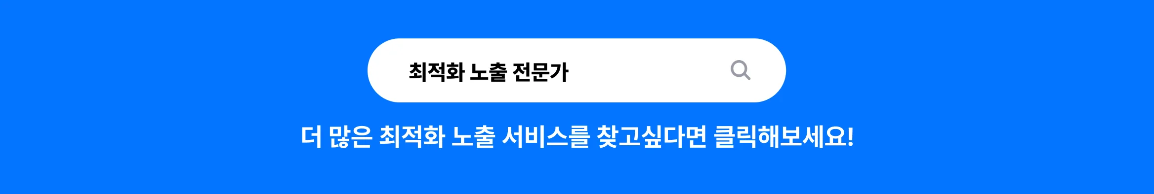 최적화노출 전문가 찾기