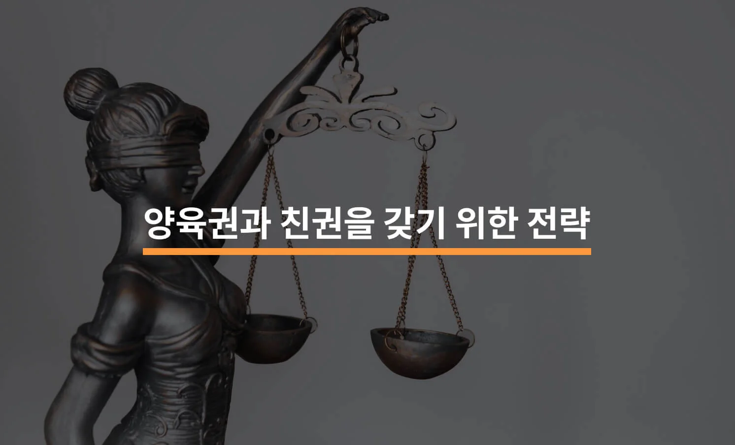 양육권자와 친권자가 되기 위한 전략에 대한 썸네일 이미지