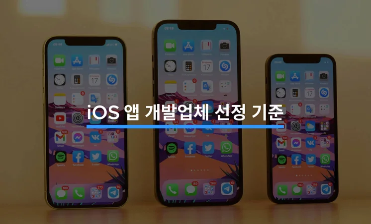 iOS 앱 개발업체 성공적으로 찾는 Tip