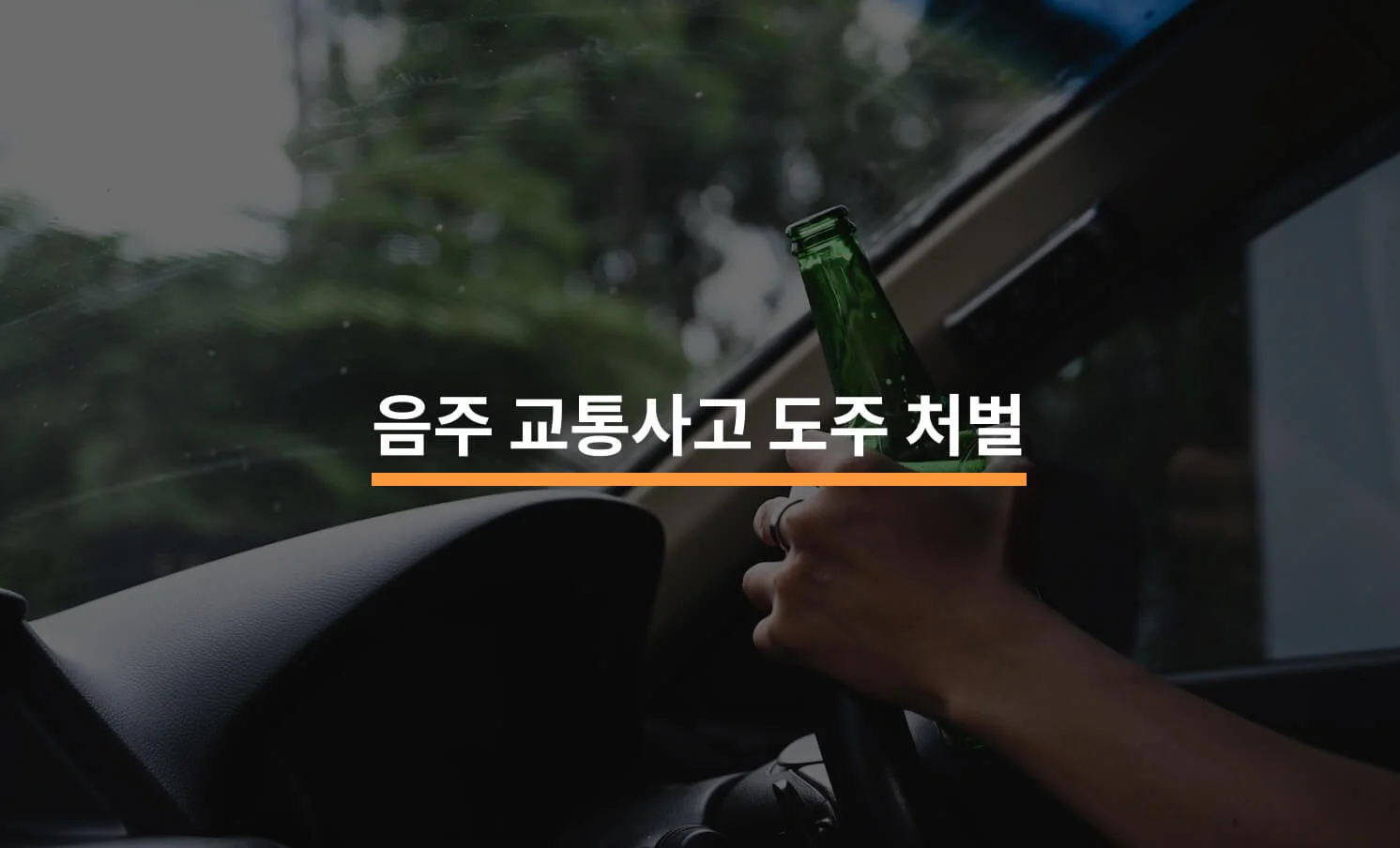 음주교통사고 도주 처벌