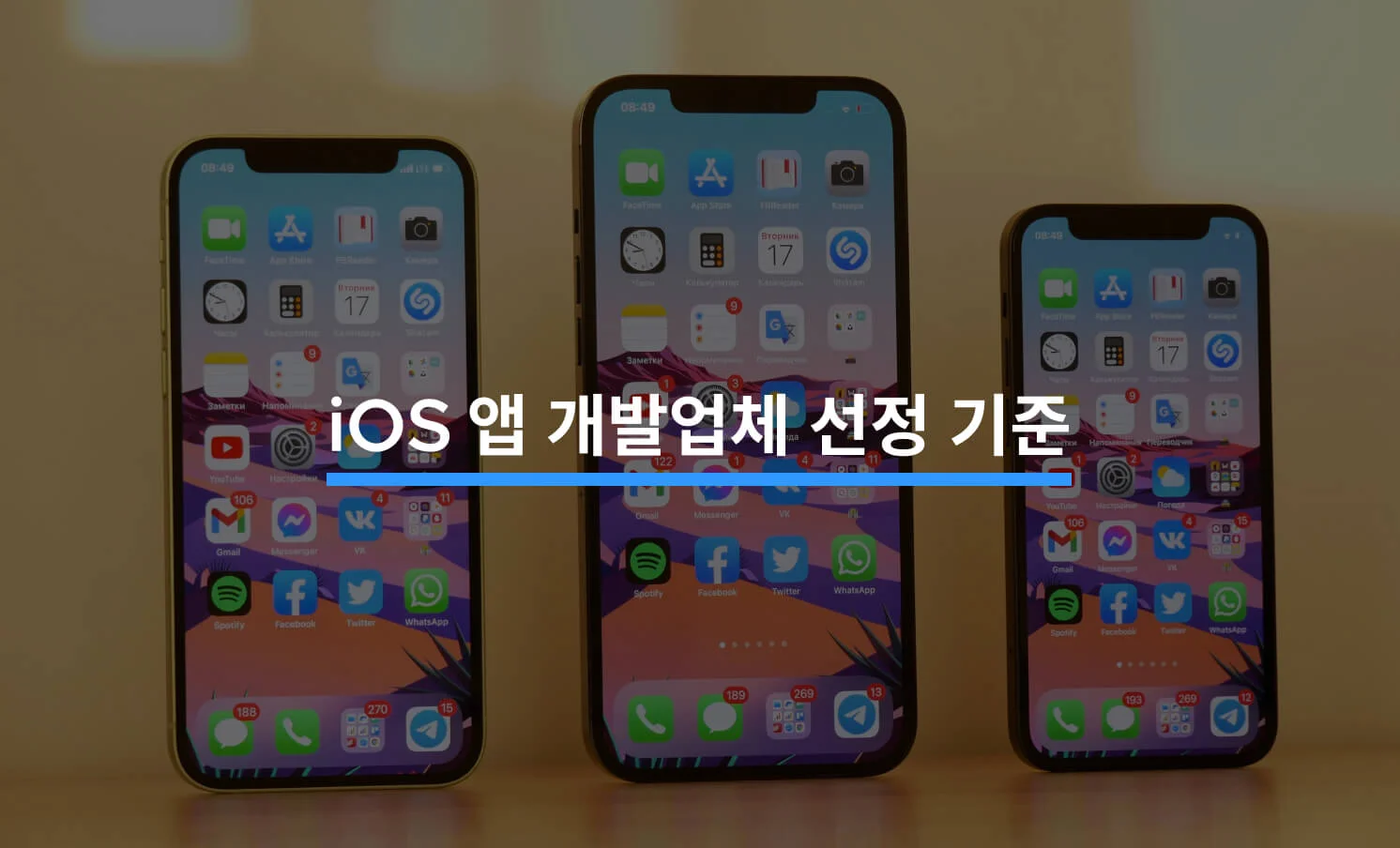 iOS 앱 개발업체 성공적으로 찾는 Tip에 대한 썸네일