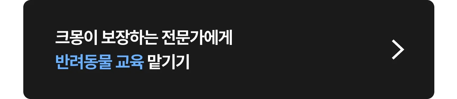반려동물 훈련, 교육 크몽 전문가 찾는 방법
