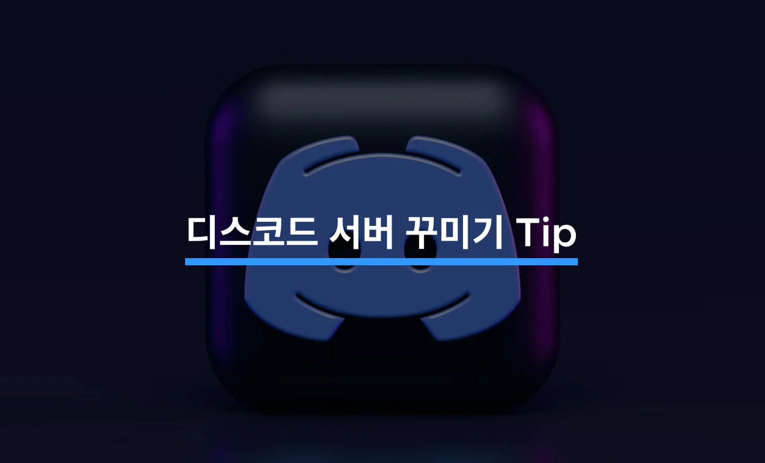 디스코드 서버 꾸미기 IT SEO 콘텐츠의 썸네일
