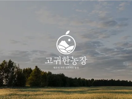 당일제작,24시간 로고제작, 로고디자인, CI BI