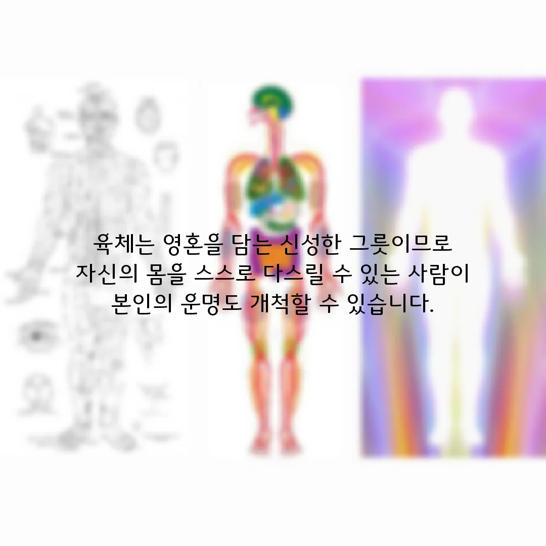 상세이미지-0